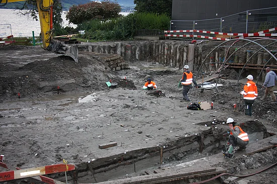 Immensee Dig Site