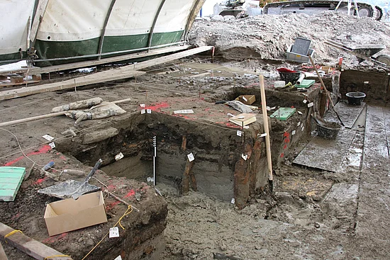 Immensee Dig Site